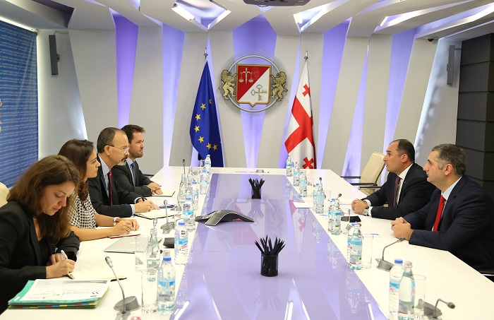 დიმიტრი ქუმსიშვილი OECD-ის წარმომადგენელს შეხვდა