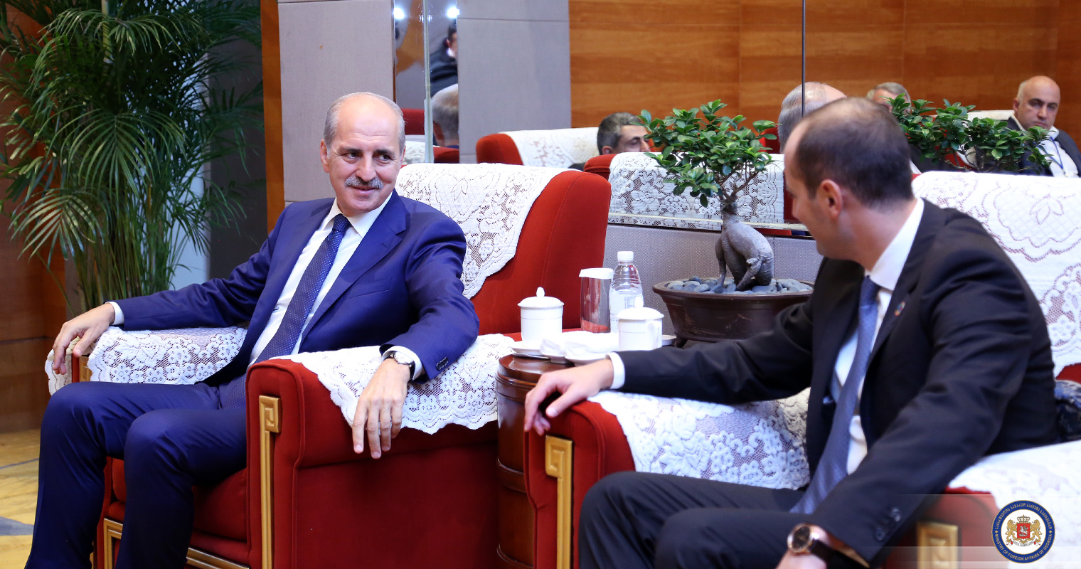 მიხეილ ჯანელიძე თურქეთის კულტურისა და ტურიზმის მინისტრს შეხვდა