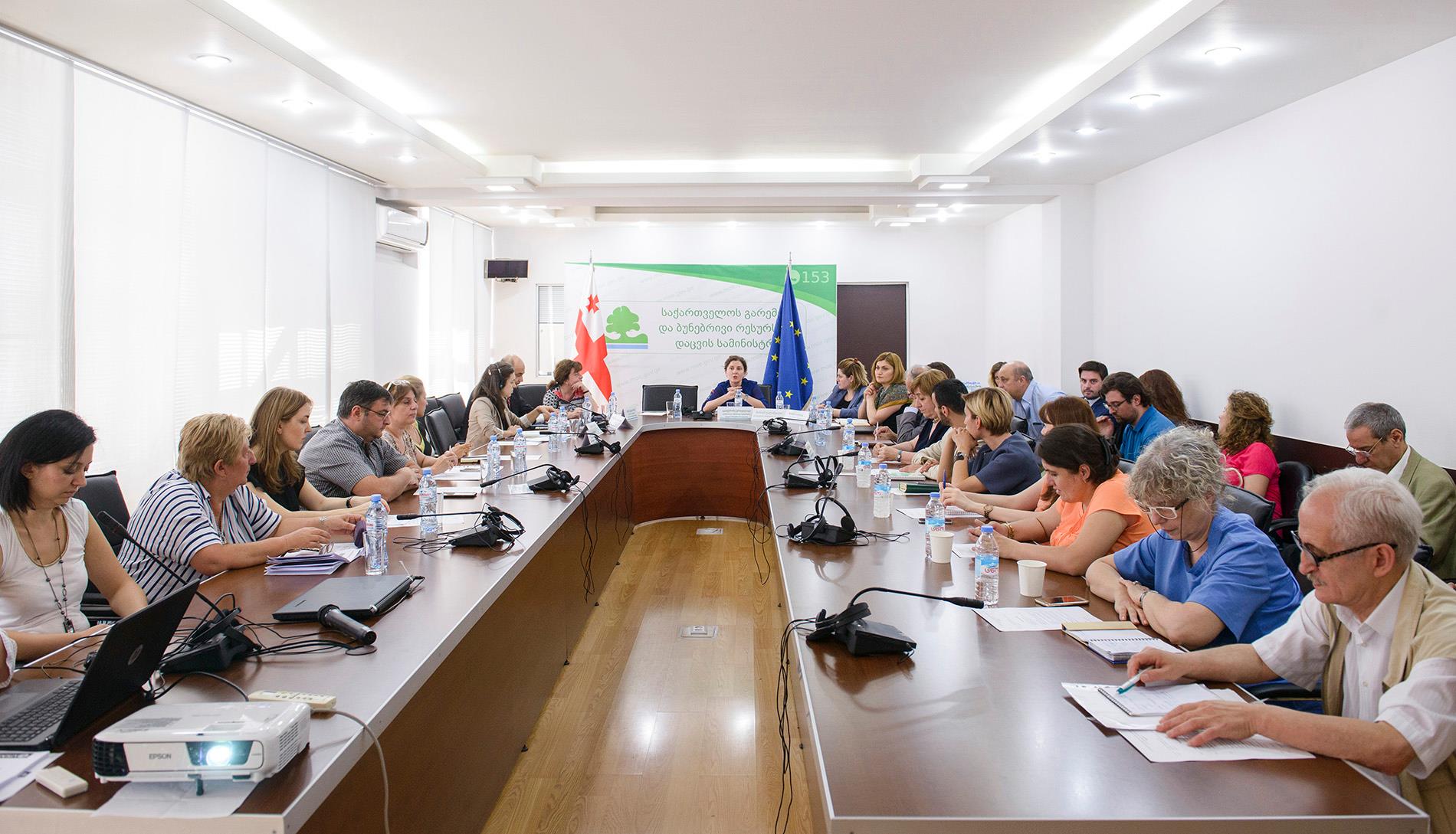 გარემოს დაცვის სამინისტროში „დაბალემისიიანი განვითარების სტრატეგიის“ საკოორდინაციო კომიტეტის სხდომა გაიმართა