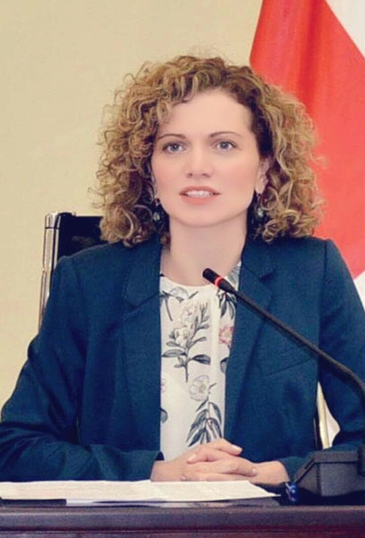 საქართველოს პარლამენტში ევროკავშირი-საქართველოს ასოცირების საპარლამენტო კომიტეტის მეხუთე სხდომა იხსნება