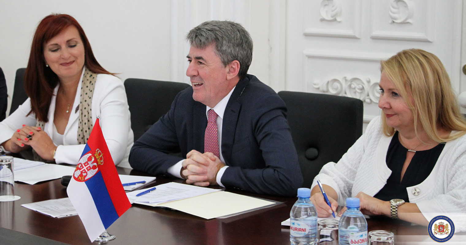საგარეო საქმეთა მინისტრის მოადგილე სერბ პარლამენტარებს შეხვდა