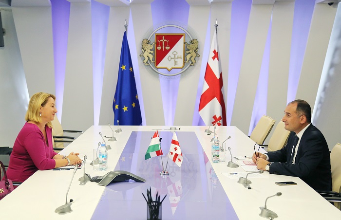 დიმიტრი ქუმსიშვილი საქართველოში უნგრეთის საგანგებო და სრულუფლებიან ელჩს შეხვდა