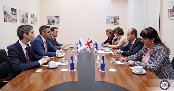 მიხეილ ჯანელიძე სამხრეთ კავკასიაში ეუთო-ს საპარლამენტო ასამბლეის სპეციალურ წარმომადგენელს შეხვდა