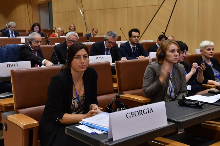 სოფიო ქაცარავამ ეუთო-ს საპარლამენტო ასამბლეაზე, ტერორიზმის წინააღმდეგ ბრძოლაში საქართველოს კონტრიბუციაზე ისაუბრა