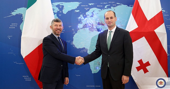 მიხეილ ჯანელიძე იტალიის ეკონომიკური განვითარების მინისტრის მოადგილეს შეხვდა