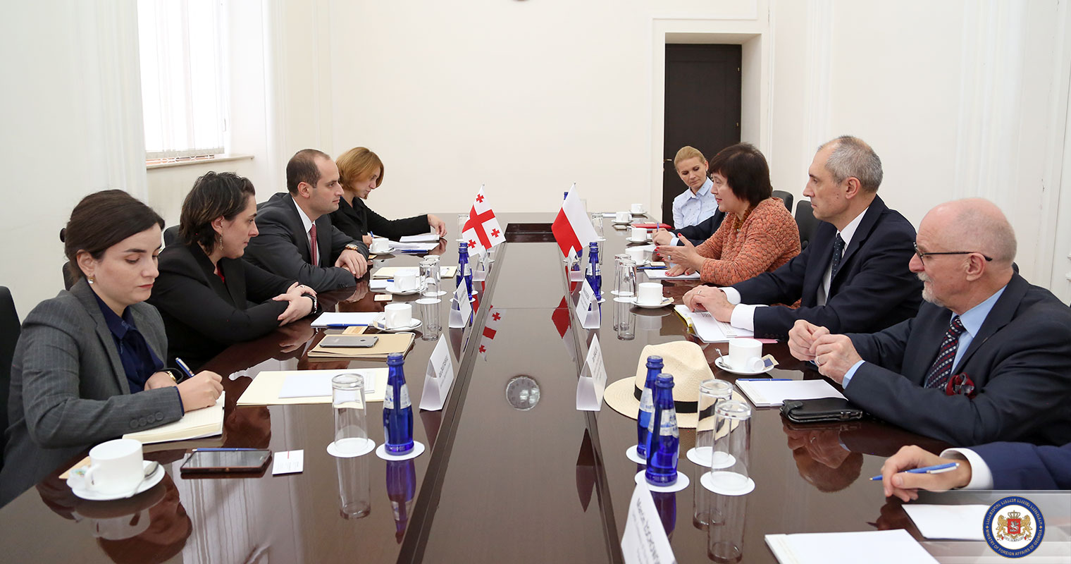 მიხეილ ჯანელიძე პოლონეთის რესპუბლიკის საგარეო საქმეთა მინისტრის მოადგილეს შეხვდა