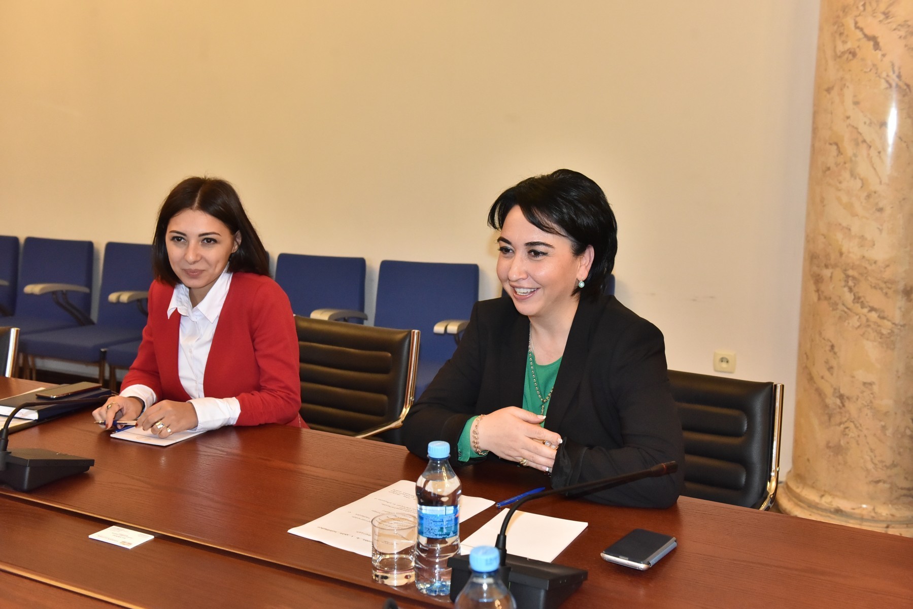 ეკა ბესელია საქართველოში ევროსაბჭოს ოფისის ხელმძღვანელს, კრისტიან ურსეს შეხვდა