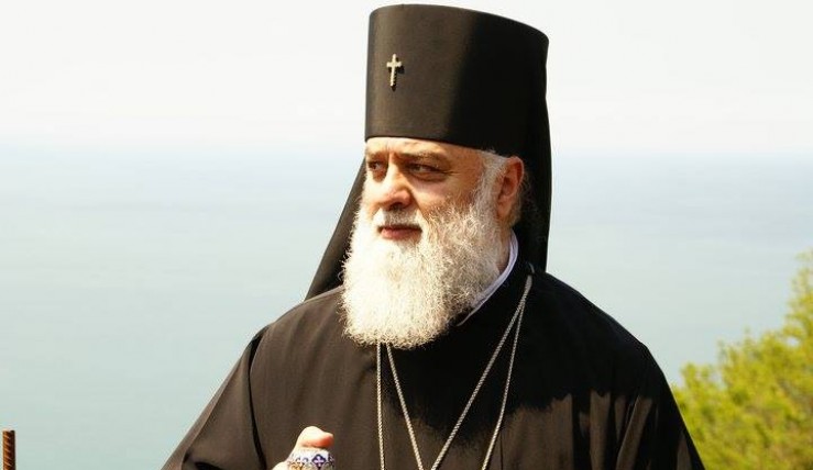 ოხ, ეს ოხანაშვილი, თავსატეხად მექცა მისი სიძეობა -  მეუფე დიმიტრი