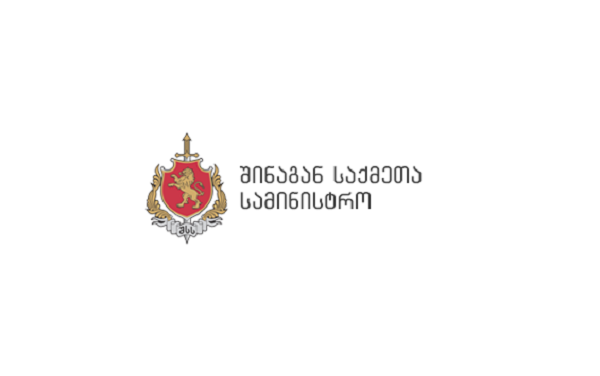როგორ მივიღოთ ინფორმაცია ვიდეო ჯარიმების შესახებ (ვიდეო)