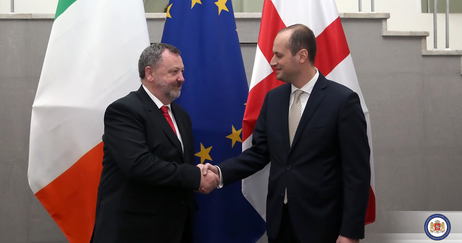 მიხეილ ჯანელიძე ირლანდიის რესპუბლიკის სენატის თავმჯდომარეს შეხვდა
