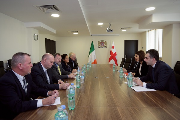 ეკონომიკისა და მდგრადი განვითარების სამინისტროში ირლანდიის საპარლამენტო დელეგაციასთან შეხვედრა გაიმართა