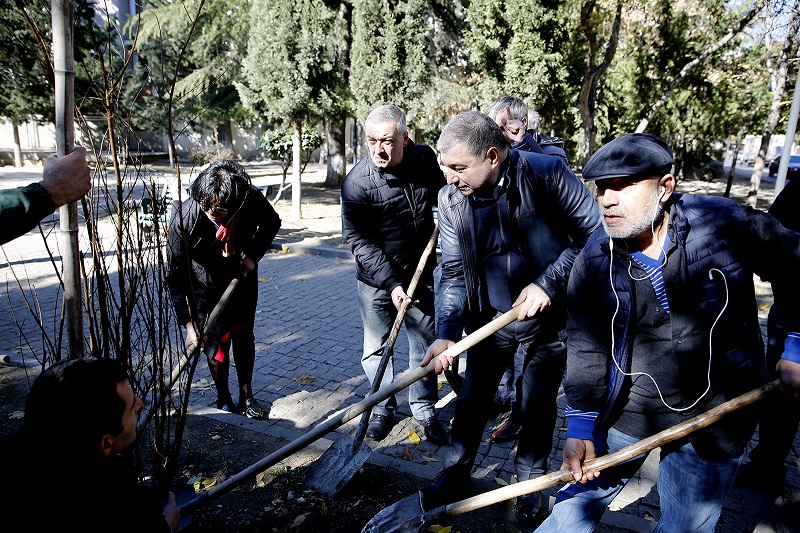 ჩუღურეთის რაიოში 500 ხე-მცენარე დაირგვება
