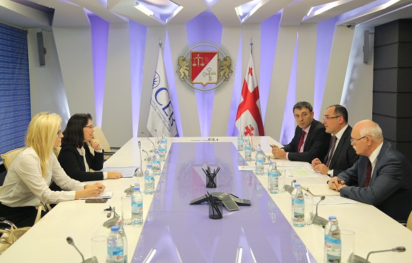 დიმიტრი ქუმსიშვილმა ევროპის საბჭოს ბანკის მმართველის მოადგილეს შეხვდა