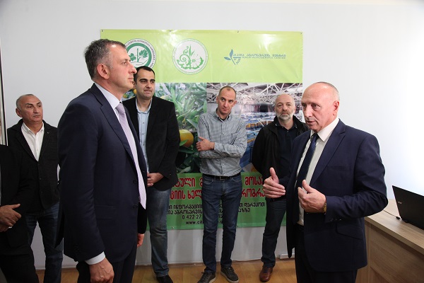 აჭარაში ციტრუსის საკოორდინაციო შტაბი გაიხსნა