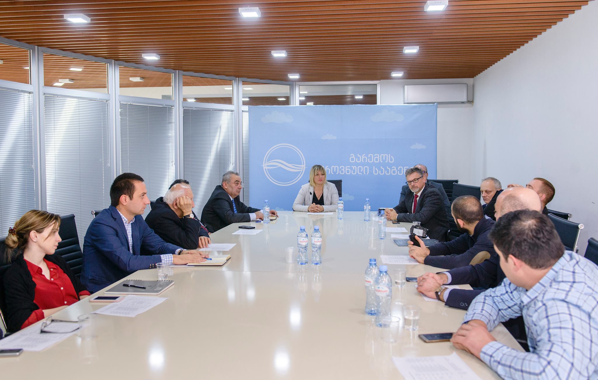 თამარ ბაგრატია ჩეხ გეოლოგებს შეხვდა