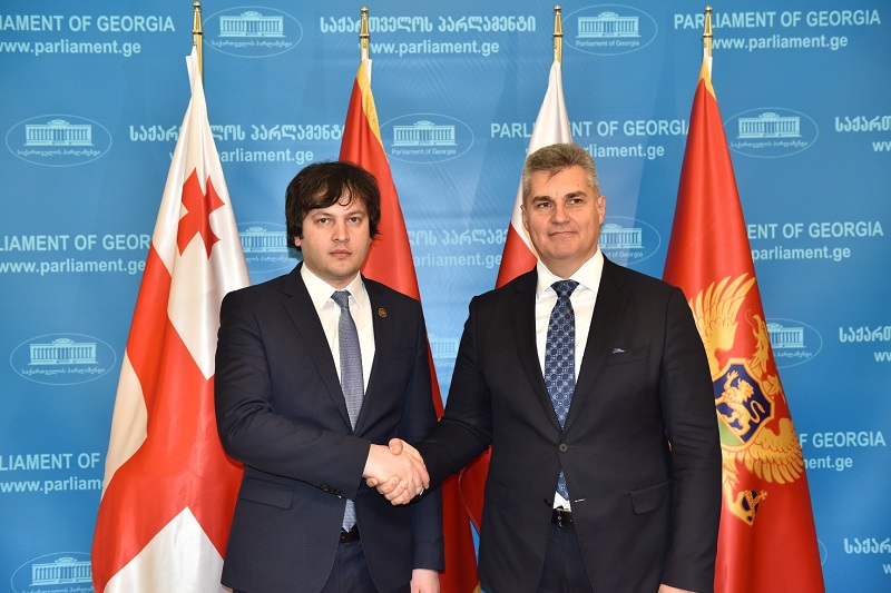 ირაკლი კობახიძე მონტენეგროს პარლამენტის თავმჯდომარეს შეხვდა