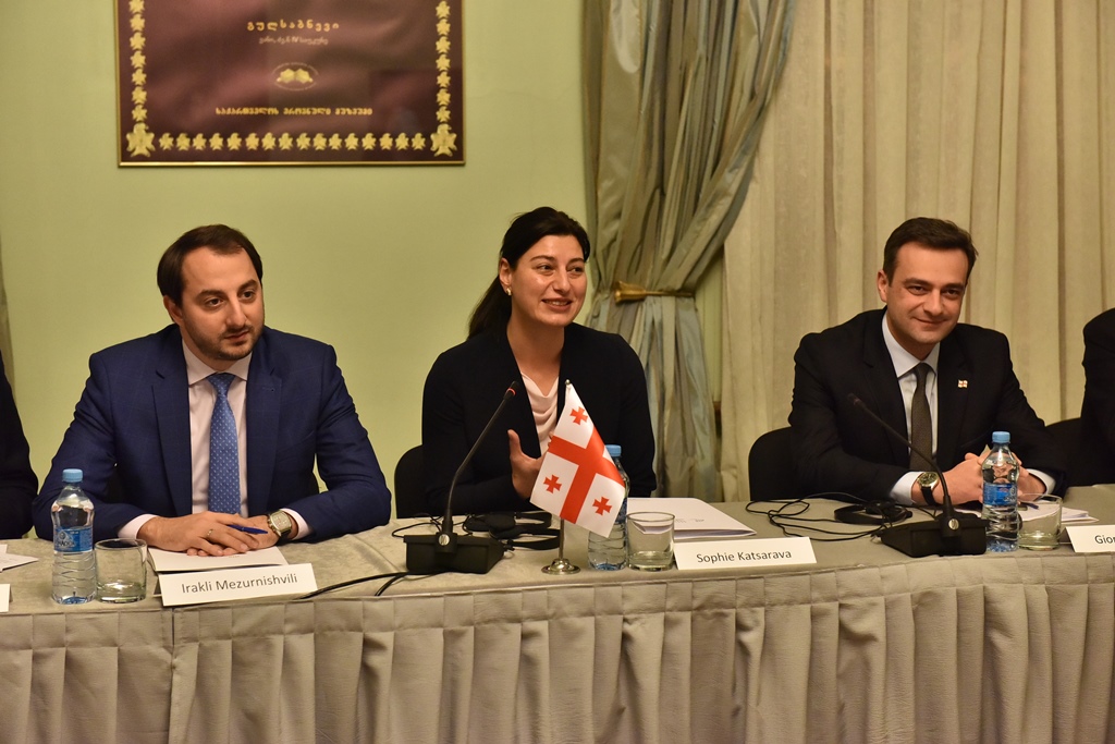 სოფიო ქაცარავა ინდონეზიის რესპუბლიკის პარლამენტის დელეგაციის წევრებს შეხვდა
