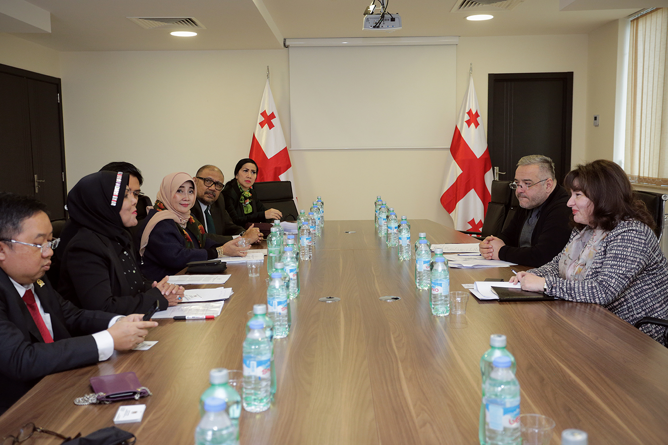 ირმა ქავთარაძე ინდონეზიის საპარლამენტო დელეგაციას შეხვდა