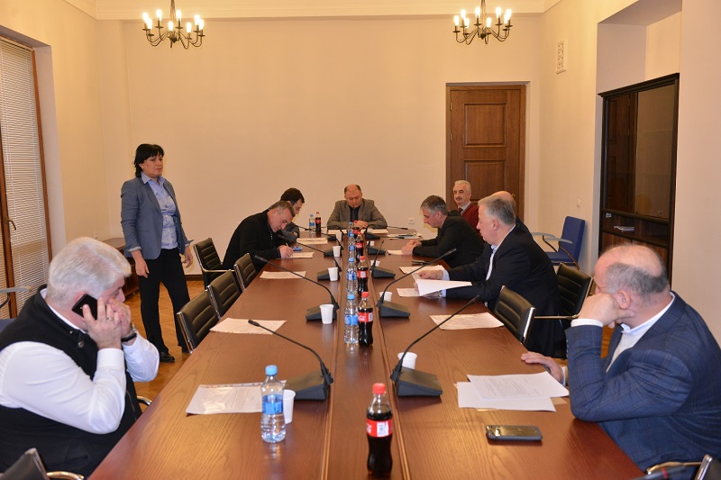  „ადგილობრივი თვითმმართველობის კოდექსში“ ცვლილების კანონპროექტი პარლამენტში მუხლობრივად განიხილეს