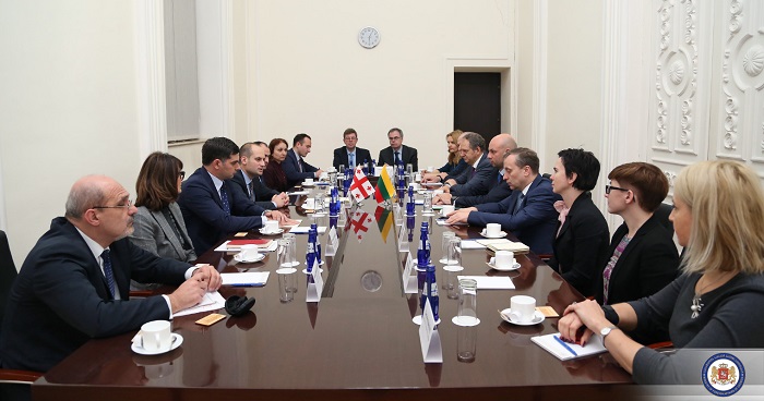 მიხეილ ჯანელიძე ლიტვის საგარეო საქმეთა მინისტრის მოადგილეს შეხვდა