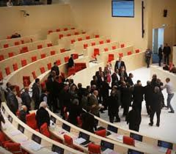 სიძულვილის ენის გამოყენება, კორექტულობის დარღვევა,  დეპუტატებს ოფიციალურ ვიზიტებში მონაწილეობის უფლებას შეუჩერებს