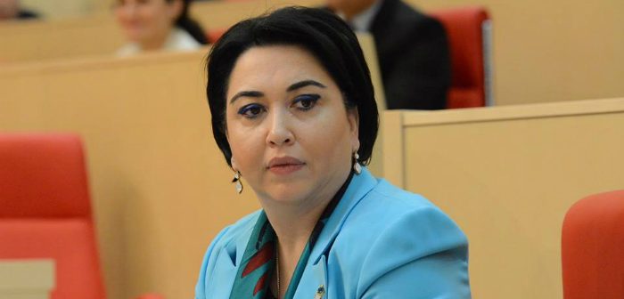 “მაუწყებლობის შესახებ“ კანონპროექტს კიდევ ერთხელ დავუბრუნდებით - ეკა ბესელია