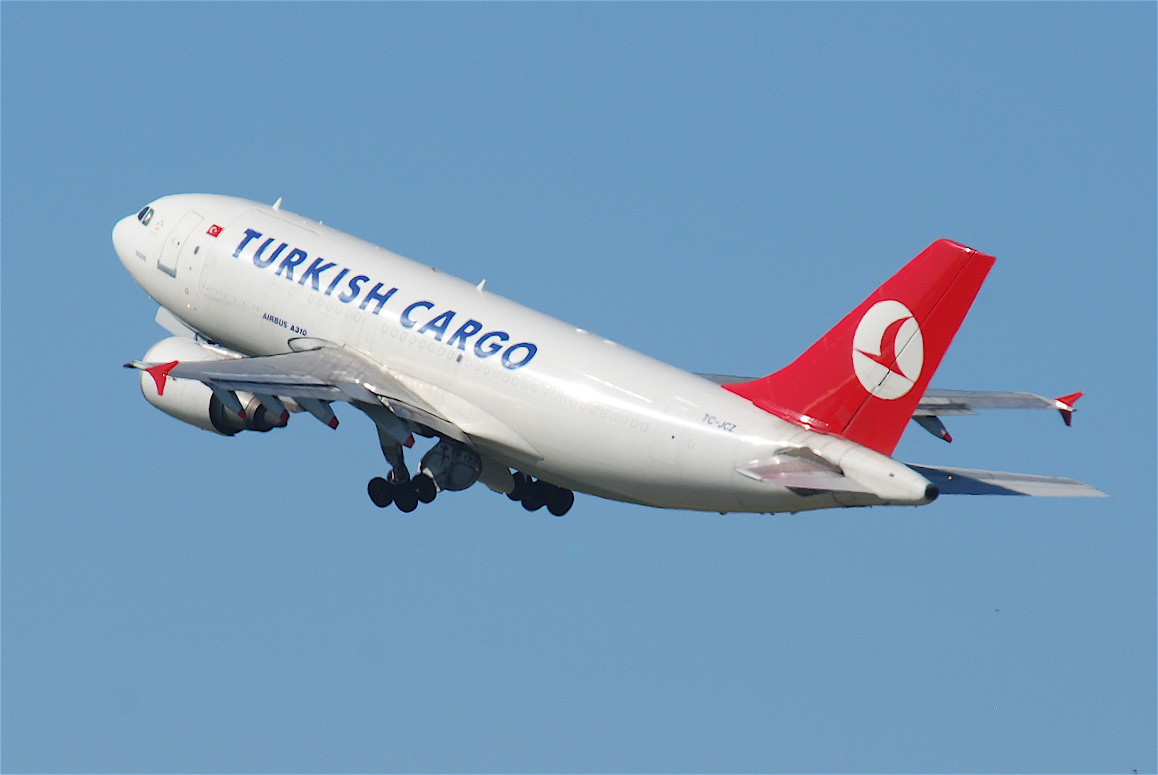 Turkish Cargo-მ ლატვიიდან ჩინეთში წითელ წიგნში შეტანილი პინგვინები გადაიყვანა