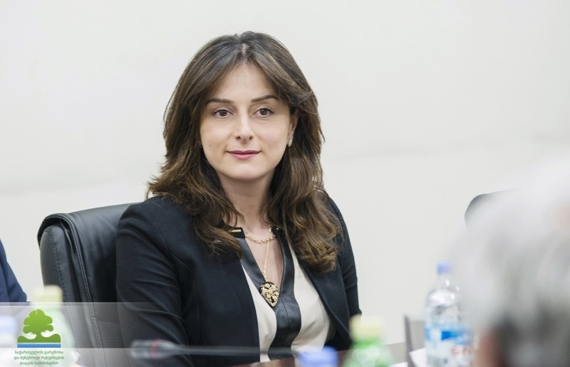  თბილისის ქუჩებში ცხოველების დახოცვის არცერთი ფაქტი არ დაფიქსირებულა - მაია ბითაძე