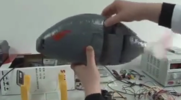 თურქეთმა თევზი-რობოტი შექმნა 