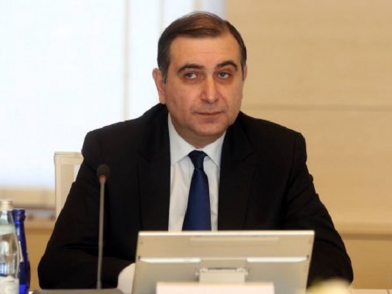 „ჰიპოკრატესა“ და „თბილისის საერთაშორისო აკადემიის“ სტუდენტებისთვის რიგგარეშე მობილობა გამოცხადდება - მიხეილ ჩხენკელი