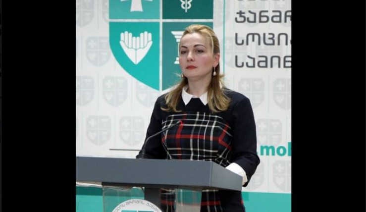 შრომის ინსპექტორების საქმიანობის გასაკონტროლებელი მექანიზმები სისტემაში არსებობს - ელზა ჯგერენაია