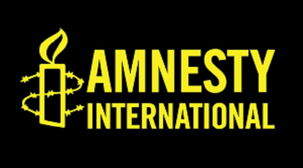 საქართველოს ხელისუფლებამ დამოუკიდებელი საგამოძიებო მექანიზმის შექმნა ვერ უზრუნველყო - Amnesty International-ი