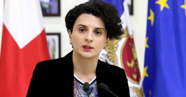 პოლიციის განყოფილებებში და დროებითი მოთავსების იზოლატორებში კამერების განახლების პროცესი მიმდინარეობს - მეზვრიშვილი