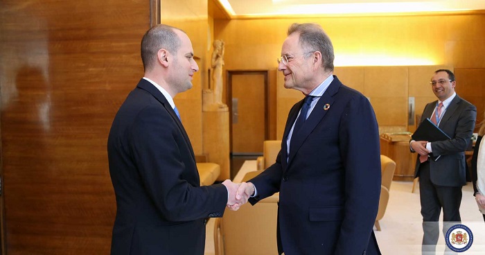 მიხეილ ჯანელიძე გაერო-ს ჟენევის ოფისის დირექტორს შეხვდა