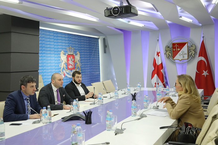მამუკა ბახტაძე თურქეთის რესპუბლიკის საგანგებო და სრულუფლებიან ელჩს შეხვდა