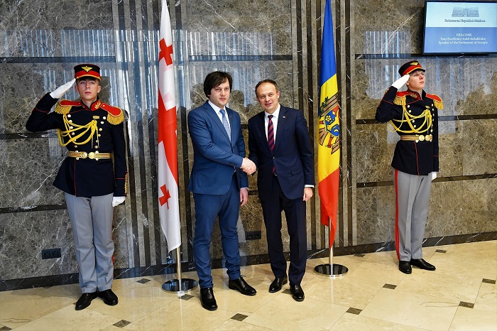 ირაკლი კობახიძე მოლდოვას რესპუბლიკის პარლამენტის თავმჯდომარეს შეხვდა
