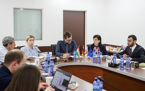 „ტყის მდგრადი მართვის გაძლიერება საქართველოში“  შემაჯამებელი შეხვედრა