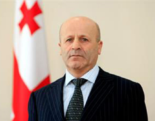2013-2016 წლებში სოფლის მეურნეობის მინისტრის მოადგილის მეუღლემ საჩუქრად 80 500 ლარი მიიღო