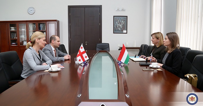 მიხეილ ჯანელიძე საქართველოში უნგრეთის ელჩს შეხვდა