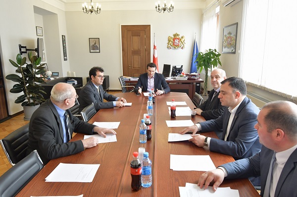 გარემოს დაცვისა და ბუნებრივი რესურსების კომიტეტი სახელმწიფო ბიუჯეტის შესრულების მდგომარეობას ყოველკვარტალურად განიხილავს  