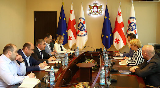 სასჯელაღსრულებისა და პრობაციის მინისტრი სახალხო დამცველს შეხვდა