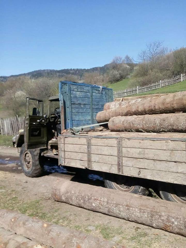 ბორჯომში, სახელმწიფო ტყის ფონდი ტერიტორიიდან ხე-ტყის უკანონოდ მოპოვებისა და ტრანსპორტირების ფაქტი გამოავლინეს