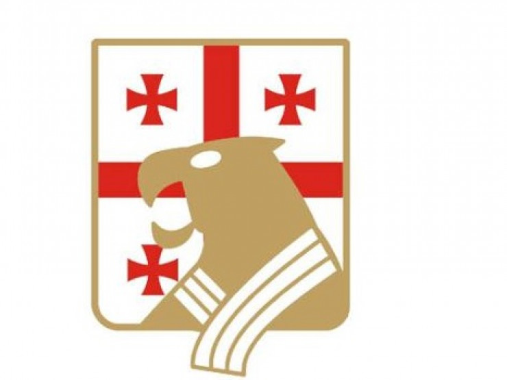 დღეს ძიუდოს ფედერაციის რიგგარეშე ყრილობა გაიმართება