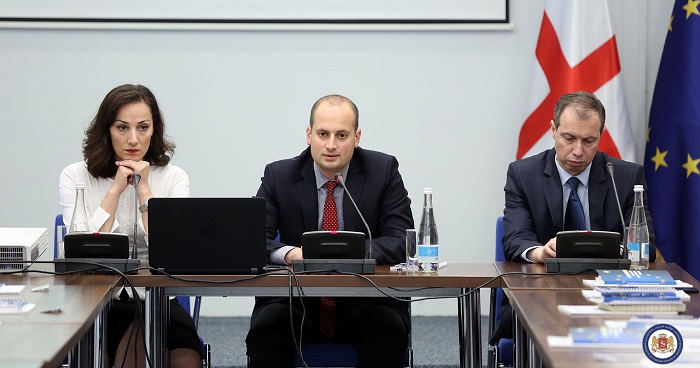 საქართველოს ევროპული მომავალი ახალგაზრდების ხელშია - მიხეილ ჯანელიძე