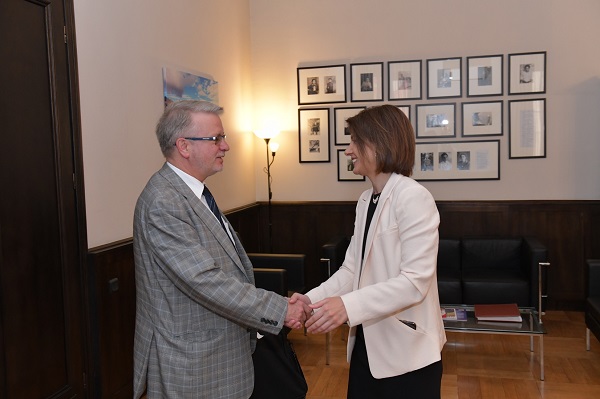 თამარ ჩუგოშვილი ევროპარლამენტის საქართველოსთან მეგობრობის ჯგუფის წევრებს შეხვდა