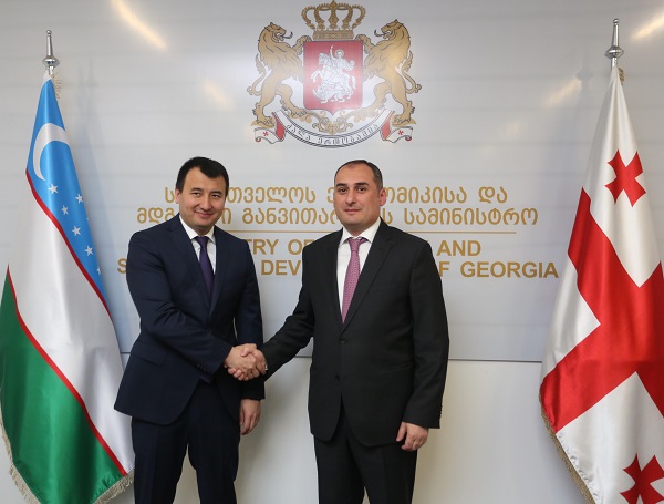 დიმიტრი ქუმსიშვილი: საქართველოსა და უზბეკეთს შორის ეკონომიკური თანამშრომლობის დიდი პოტენციალი არსებობს