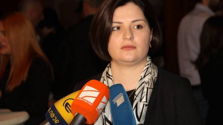 ანა ნაცვლიშვილი ფაშისტური ჯგუფის წარმომავლობის შესწავლას ითხოვს