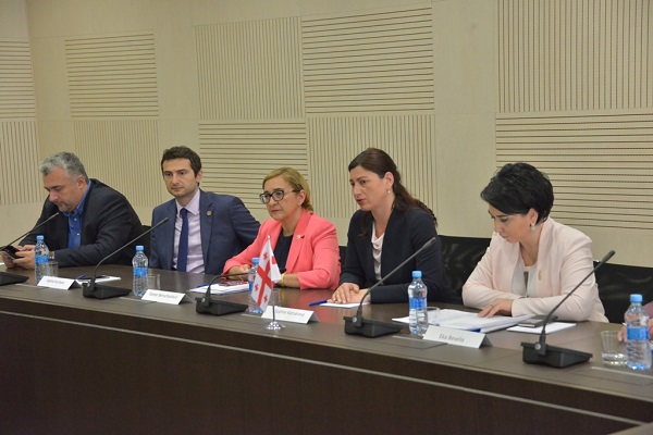ჩვენი საგარეო პოლიტიკის პრიორიტეტები სტრატეგიულ პარტნიორებთან ახალი მიმართულებების განვითარებაა - ქაცარავა