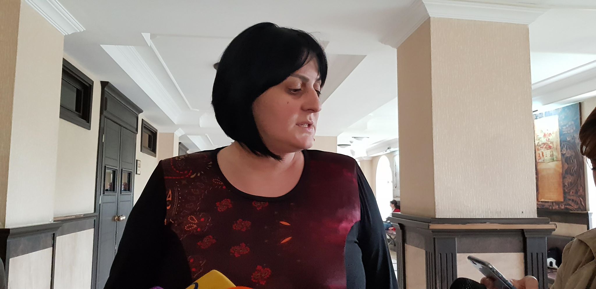 დავით დადუნაშვილს თავად ჰქონდა სურვილი, შს მინისტრს შეხვედროდა - ადვოკატი