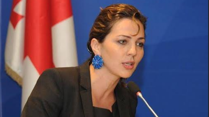 საქალაქო სასამართლოში ხვალ ანა დოლიძის სარჩელის განხილვა დაიწყება 